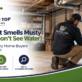 Musty basement moisture inspection Glastonbury